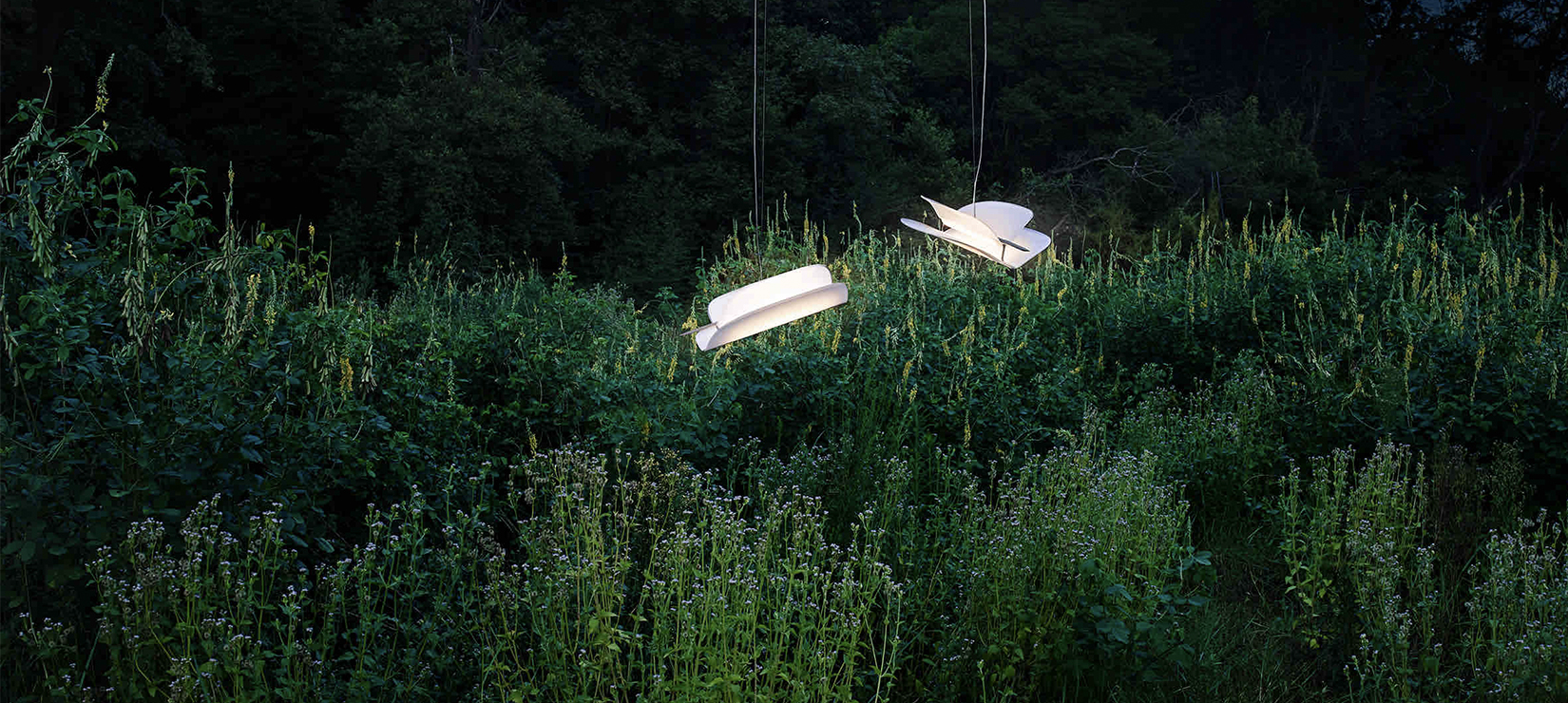 豪运国际一灯一世界